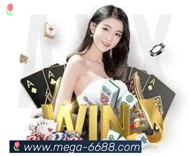 未来规划